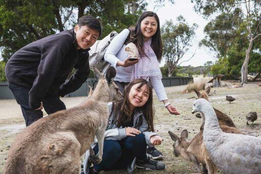 ELICOS requirements in Australia ELICOSAustralia